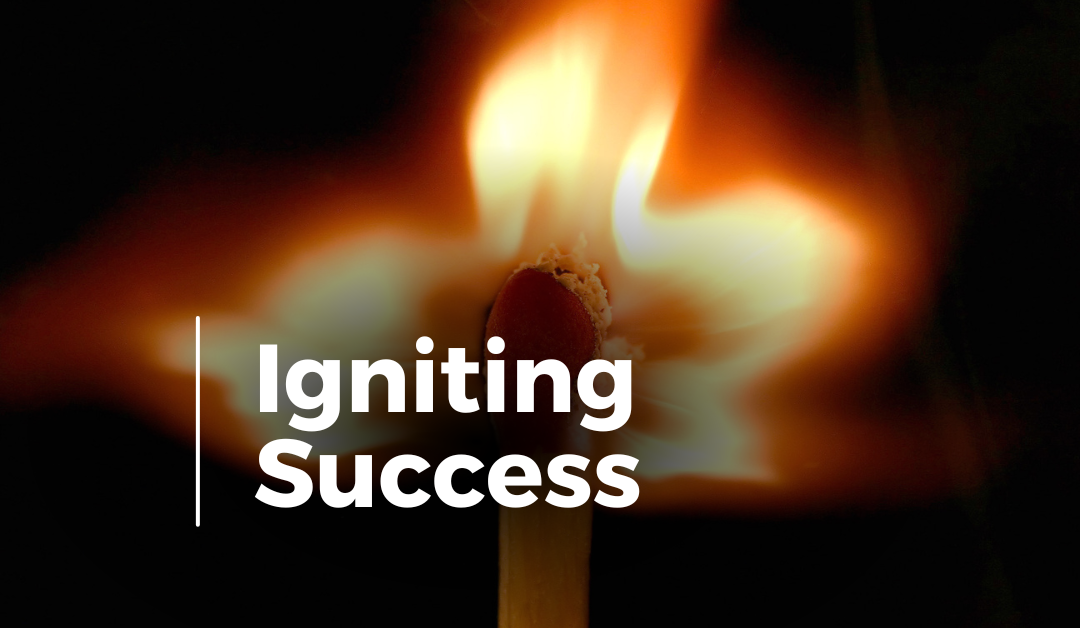 Article 7 – Igniting Success